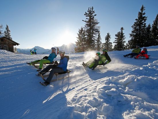 Sledders near the Hochwurzenalm